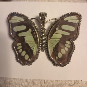 Butterfly Brooch/Pendant with Real Butterfly Wings Encased in Acrylic Glass.